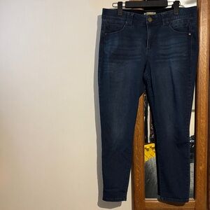 Democracy Deep Indigo  Jeans Ab technology size 14